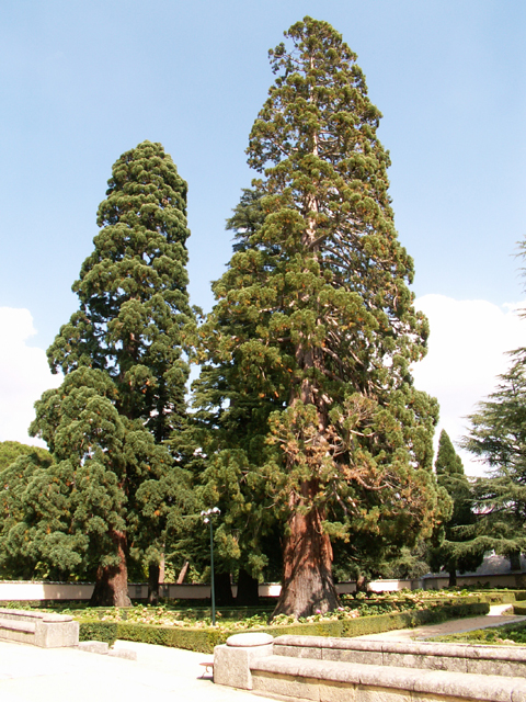 Deux des protégés de la Casita