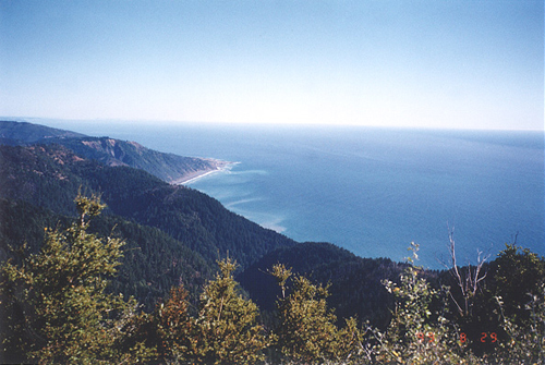 La "Lost Coast" : habitat naturel du séquoia sempervirens 