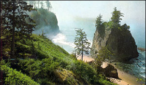 Océan, brouillard et séquoias: "the Lost Coast"
