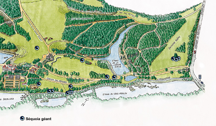 Plan du Domaine Solvay