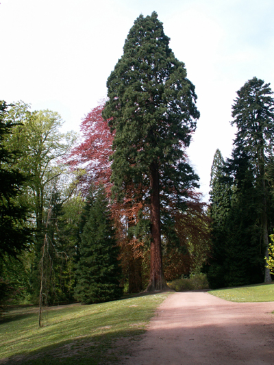 Domaine de Mariemont