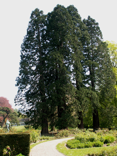 Domaine de Mariemont, Molanwelz, Belgique