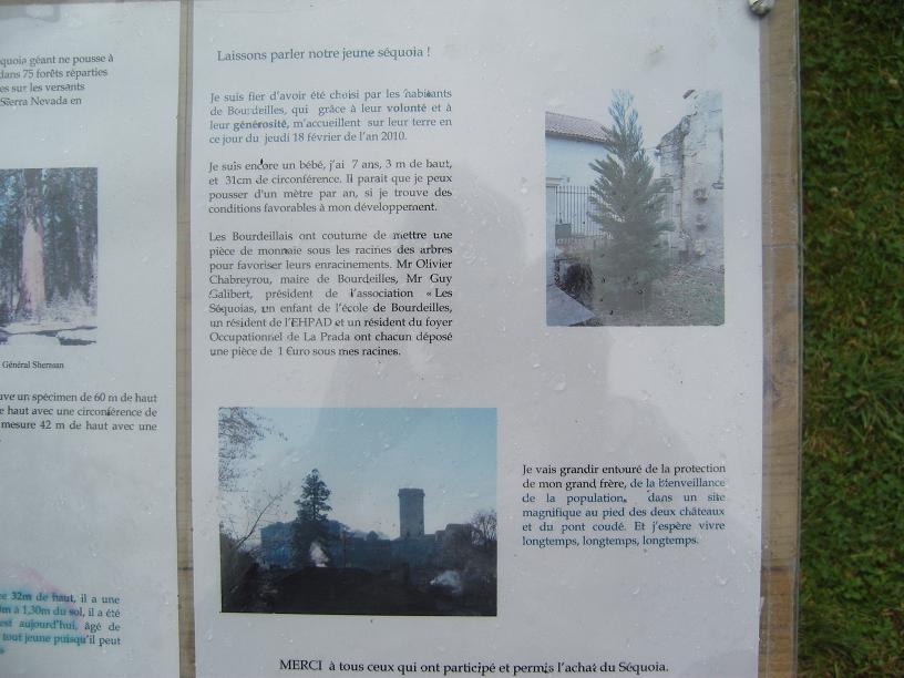 Le secret des arbres bourdeillais...