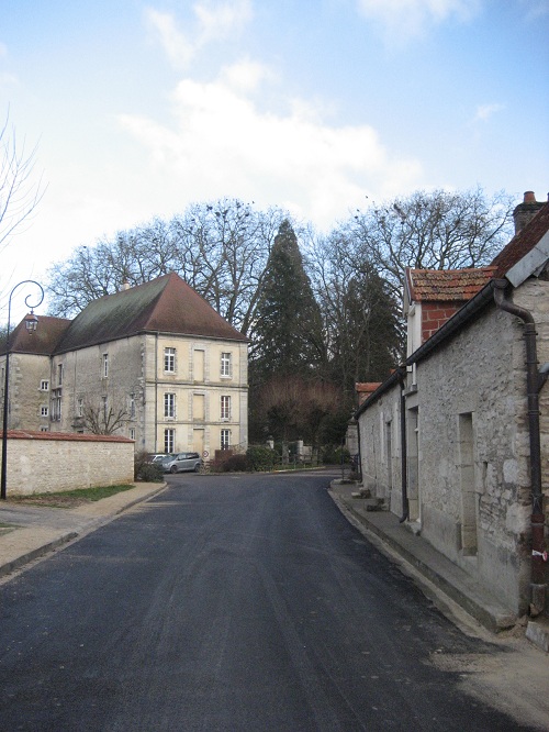 Séquoia géant à l'Abbaye de Bèze