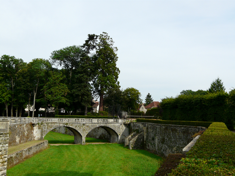 Séquoia géant au Château d'Epoisses © Marc Meyer