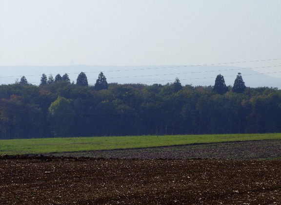 Les séquoias pointent nettement au dessus du paysage © Charles Jaffelin