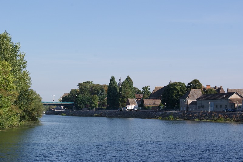 Séquoias géants à Seurre