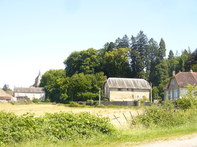 Séquoias géants