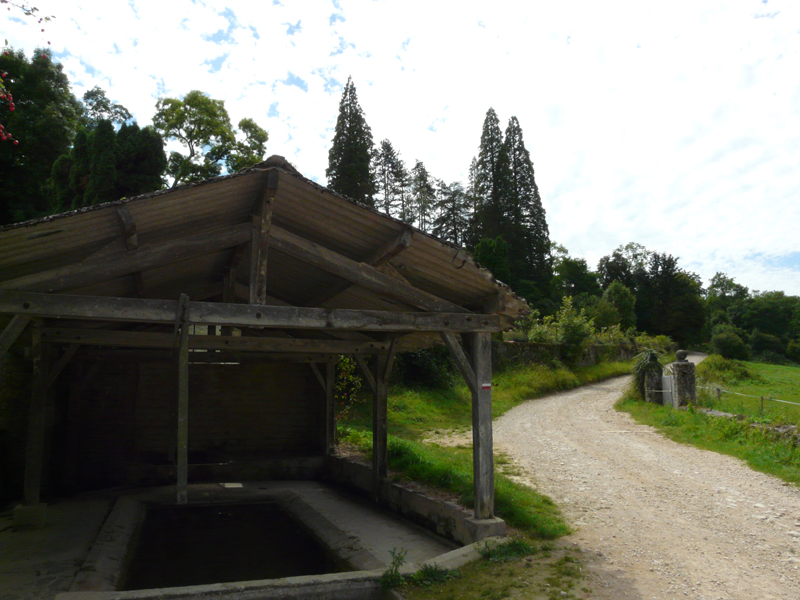 Lavoir au bord du Chemin de la Fontaine, sur fond de séquoias © Marc Meyer