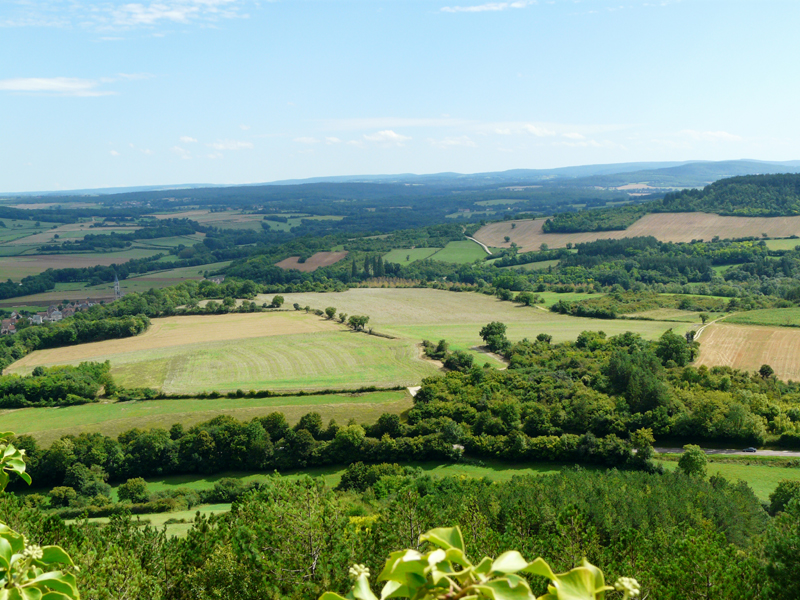 Les séquoias géants vus de la Colinne de Vézelay © Marc Meyer