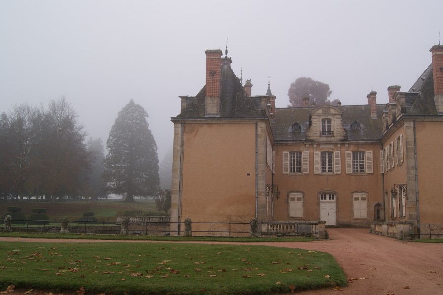 Séquoia géant à Verosvres