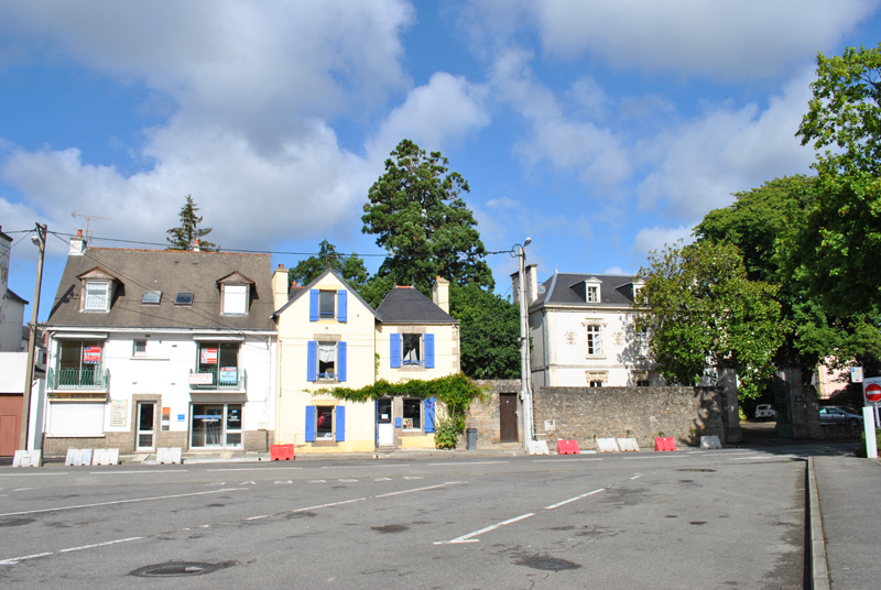 Séquoia géant, Place de la Libération © Marc Meyer