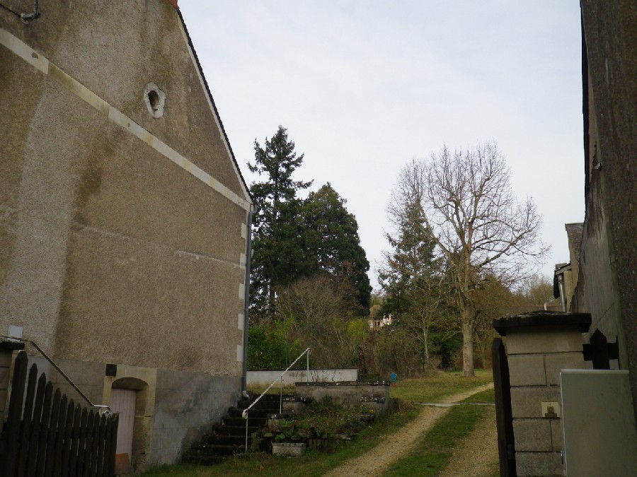 Séquoia géant à Azay le Rideau