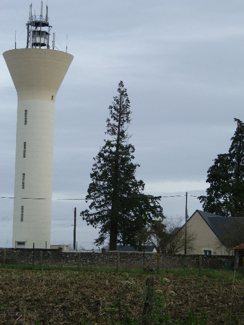 Séquoia géant et château d'eau à Druye