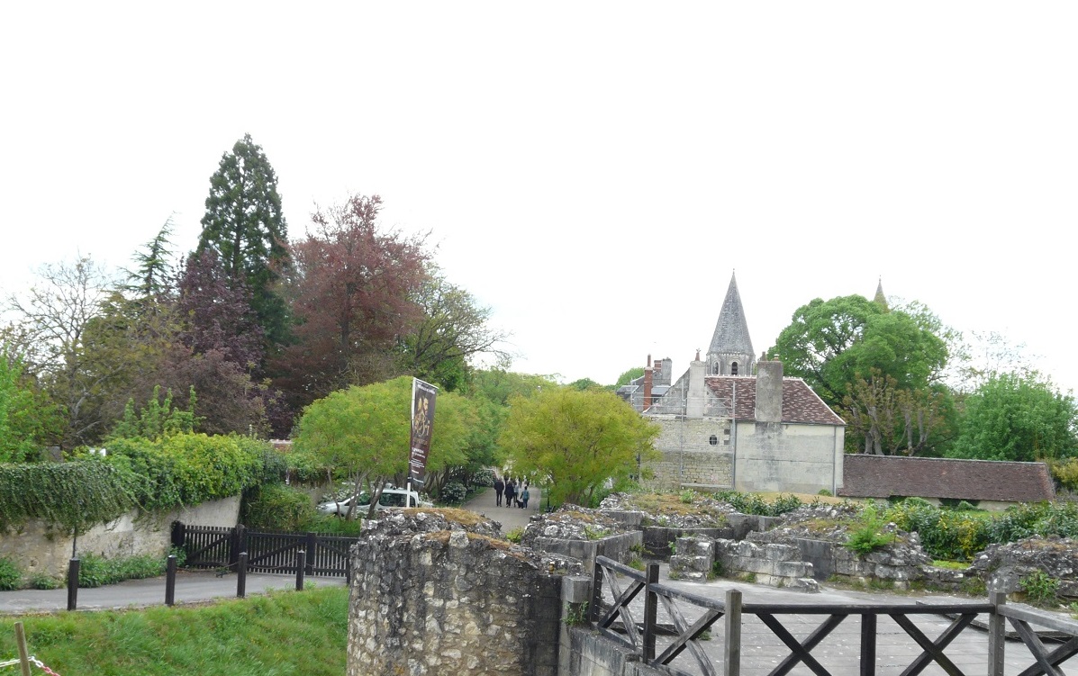 Séquoia géant à Loches