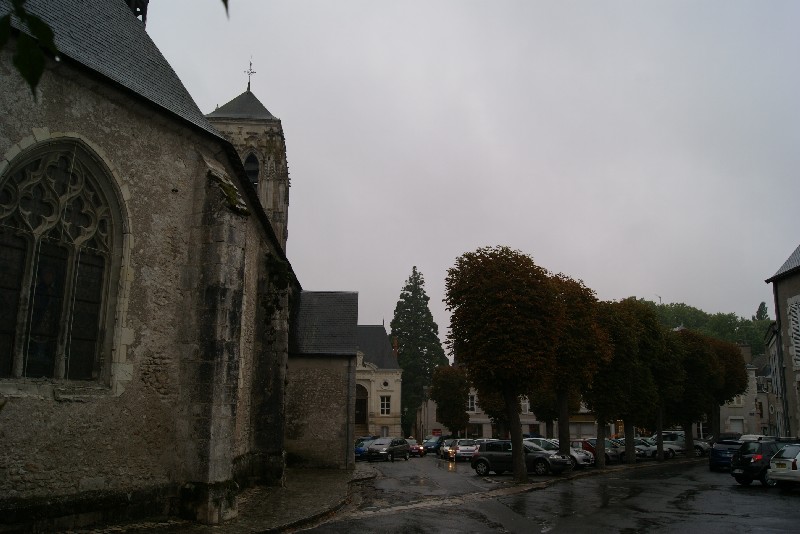 Séquoia géant, Impasse St Hilaire à Mer