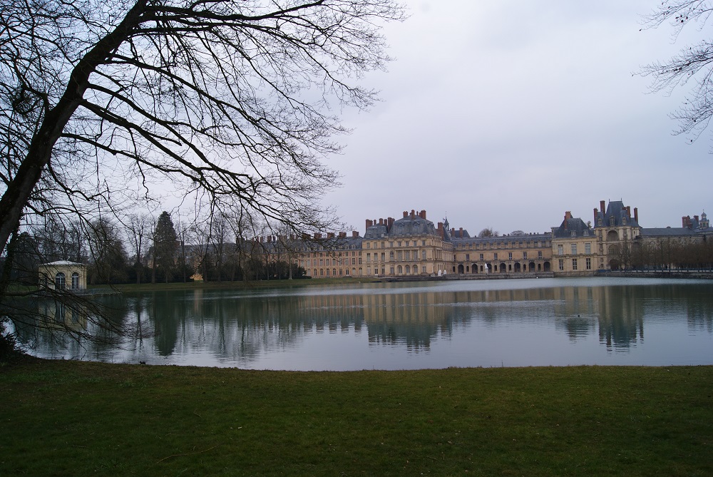 Séquoia géant et Château