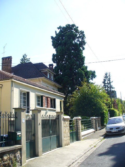 Séquoia géant 15 avenue Gambetta