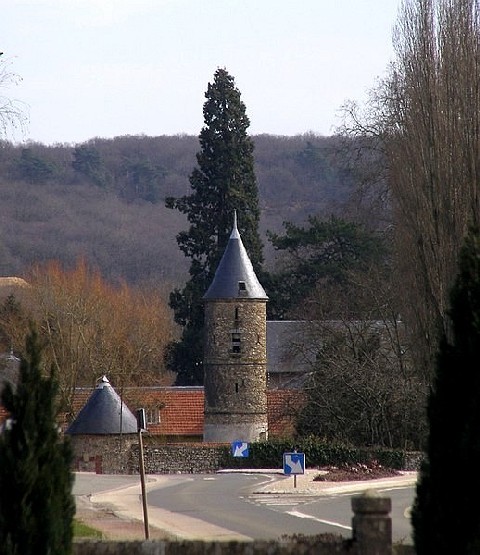 Séquoia géant à Fontenay les Briis