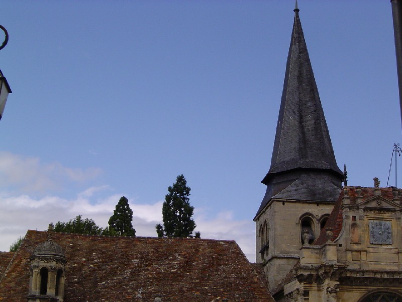 Séquoias géants à Magny en Vexin