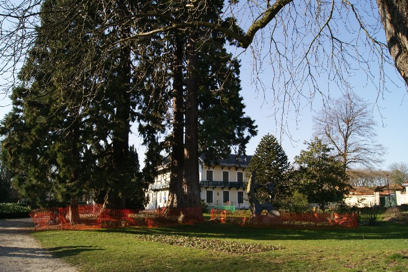 Séquoias géants au parc de Montreau