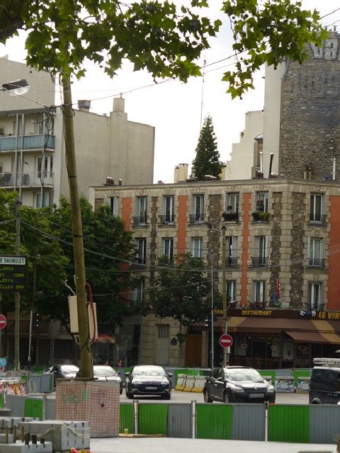 Séquoia géant à Paris