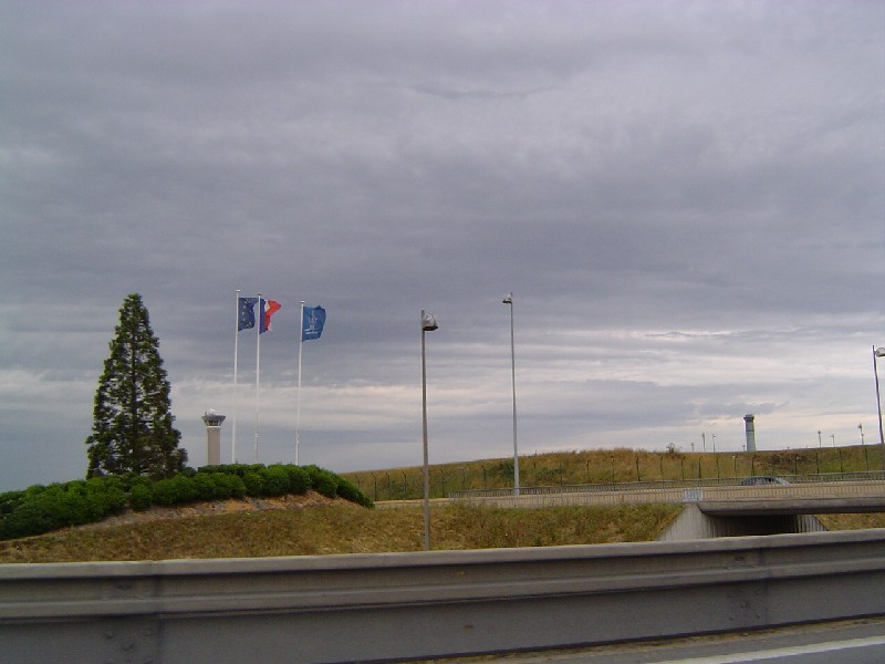 Séquoia géant à Roissy en France