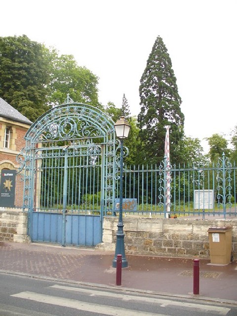 Séquoia géant à Sceaux