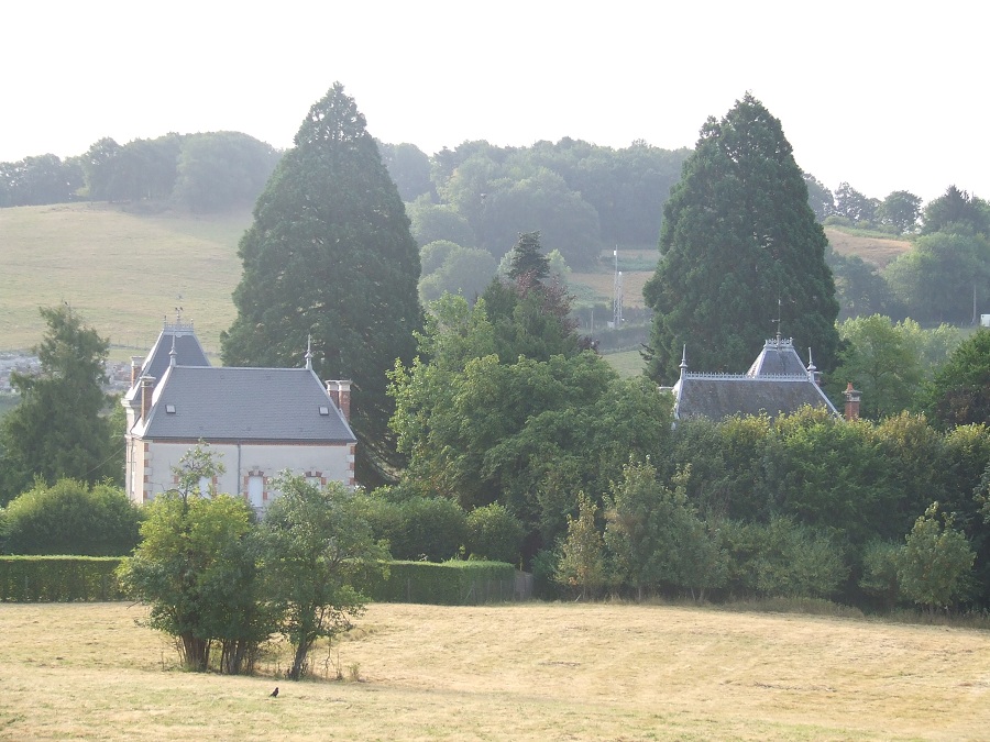 Séquoias géants