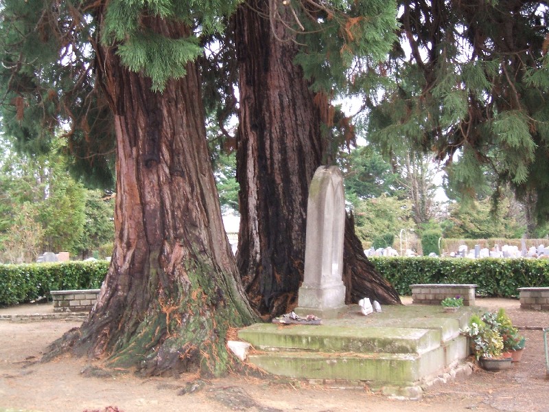 Séquoias géants et sépultures