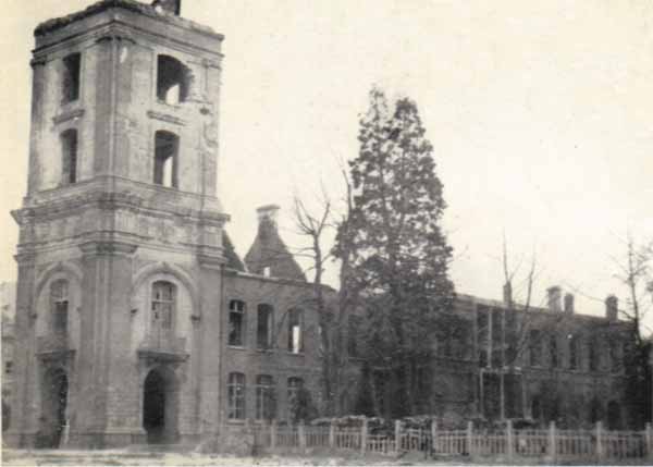 Séquoia géant Le Quesnoy