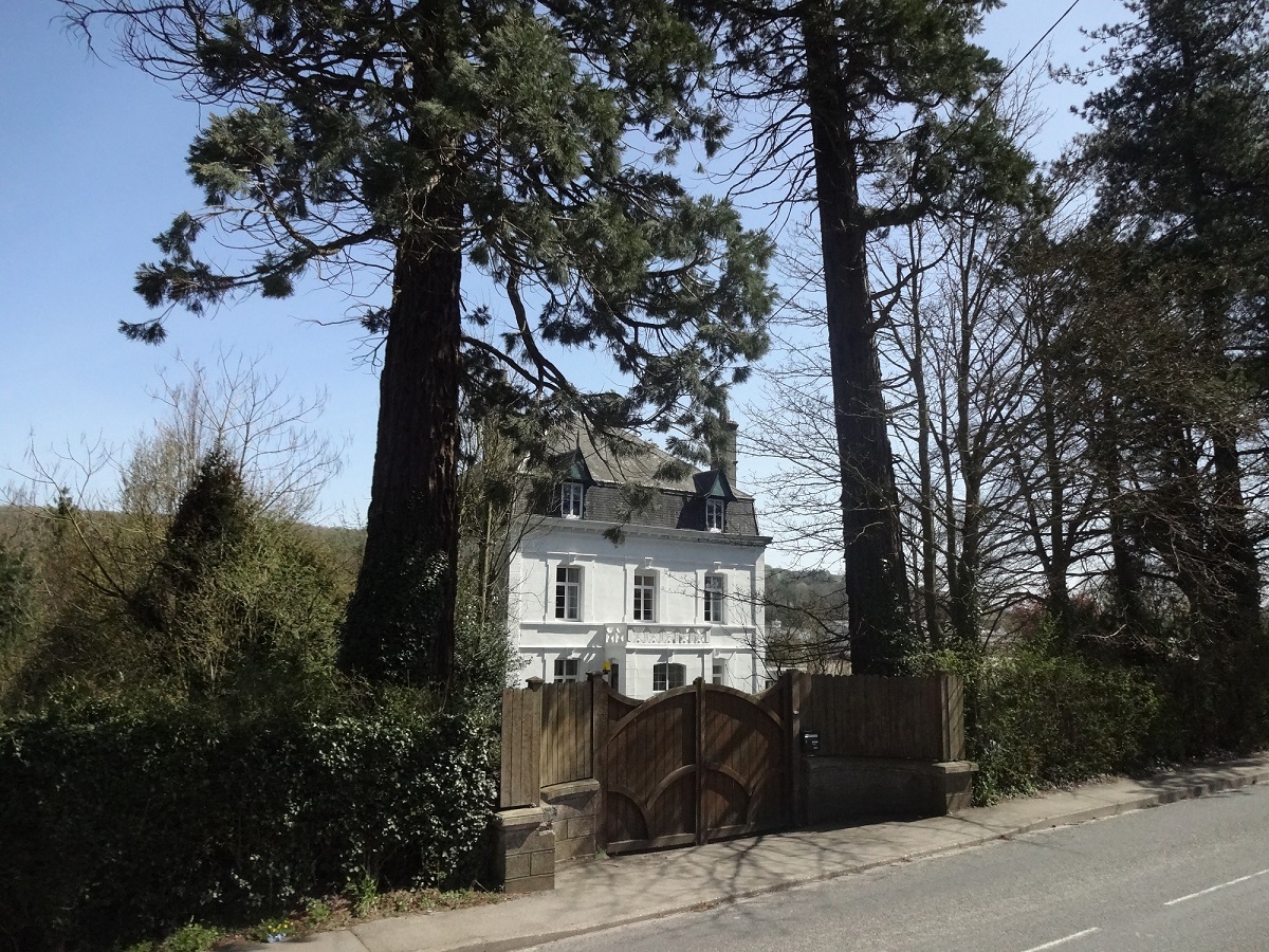 Séquoia géant à Lumbres