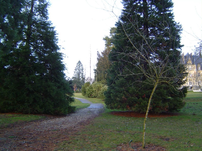 Arboretum de Bagnoles-de-l'Orne © Eric Touya