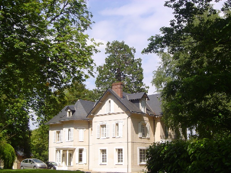 Séquoia géant à Forges les Eaux le Manoir