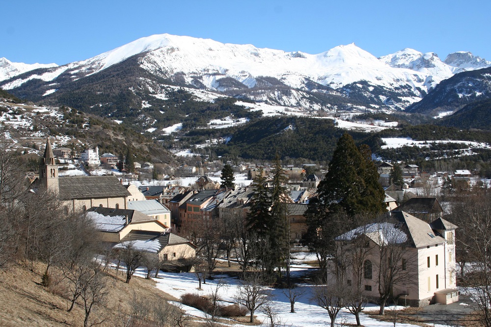 Séquoias géants à Jausiers