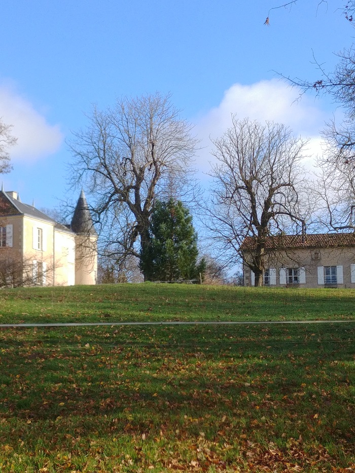 Séquoia 