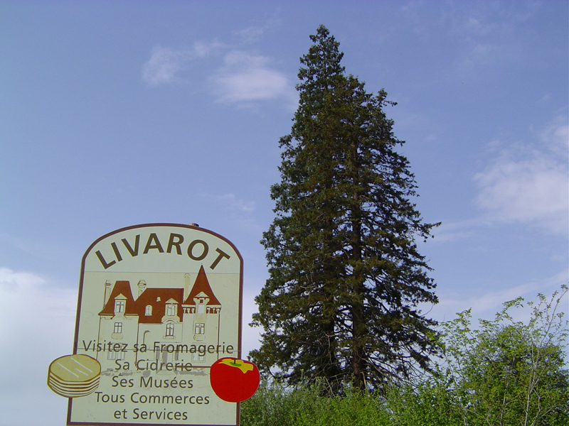 Bienvenue à Livarot! © Eric Touya