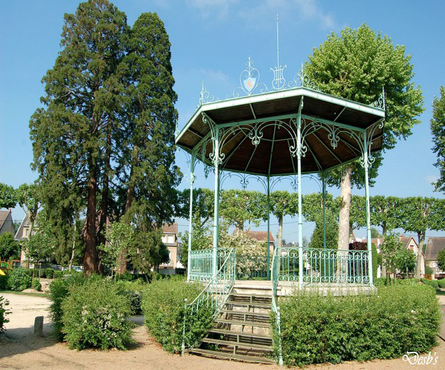 Sequoiadendron giganteum, Nogent-le-Rotrou