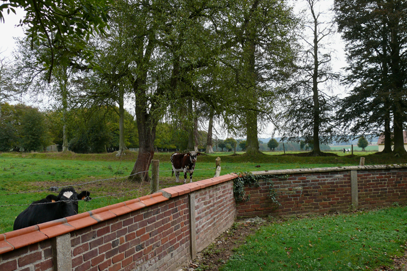 Bosguérard-de-Marcouville © Han Van Meegeren