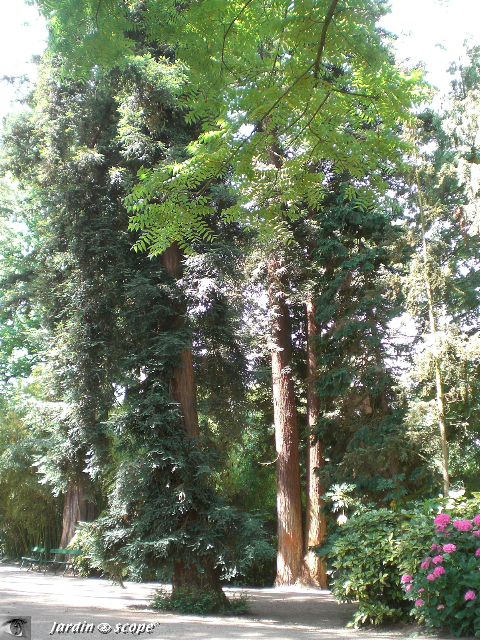 Jardin Botanique de Tours © Le Jardinoscope