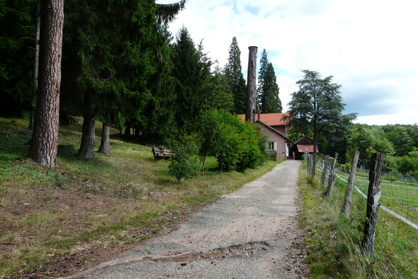 Vers la maison forestière du Heidenkopf