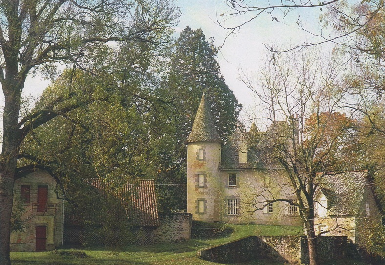 Séquoia géant à Arpajon sur Cère