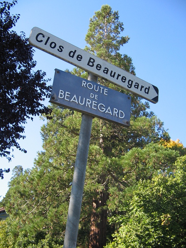 Séquoia géant à Chadrac