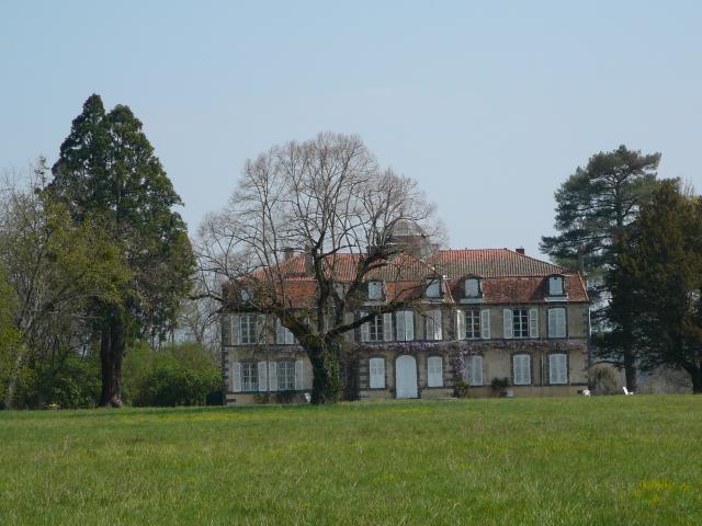 Séquoia géant