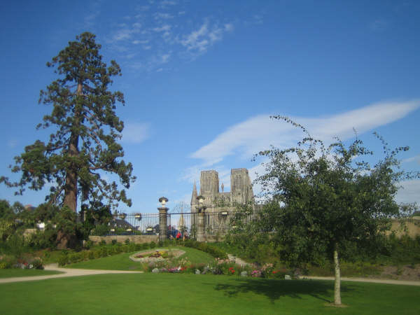 Séquoia géant au Jardin des Plantes à Avranches © Loïc Oria