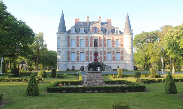 Séquoia géant 