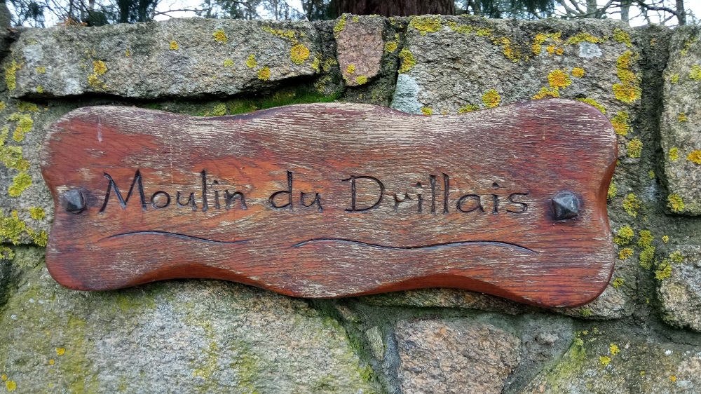 Séquoias géants