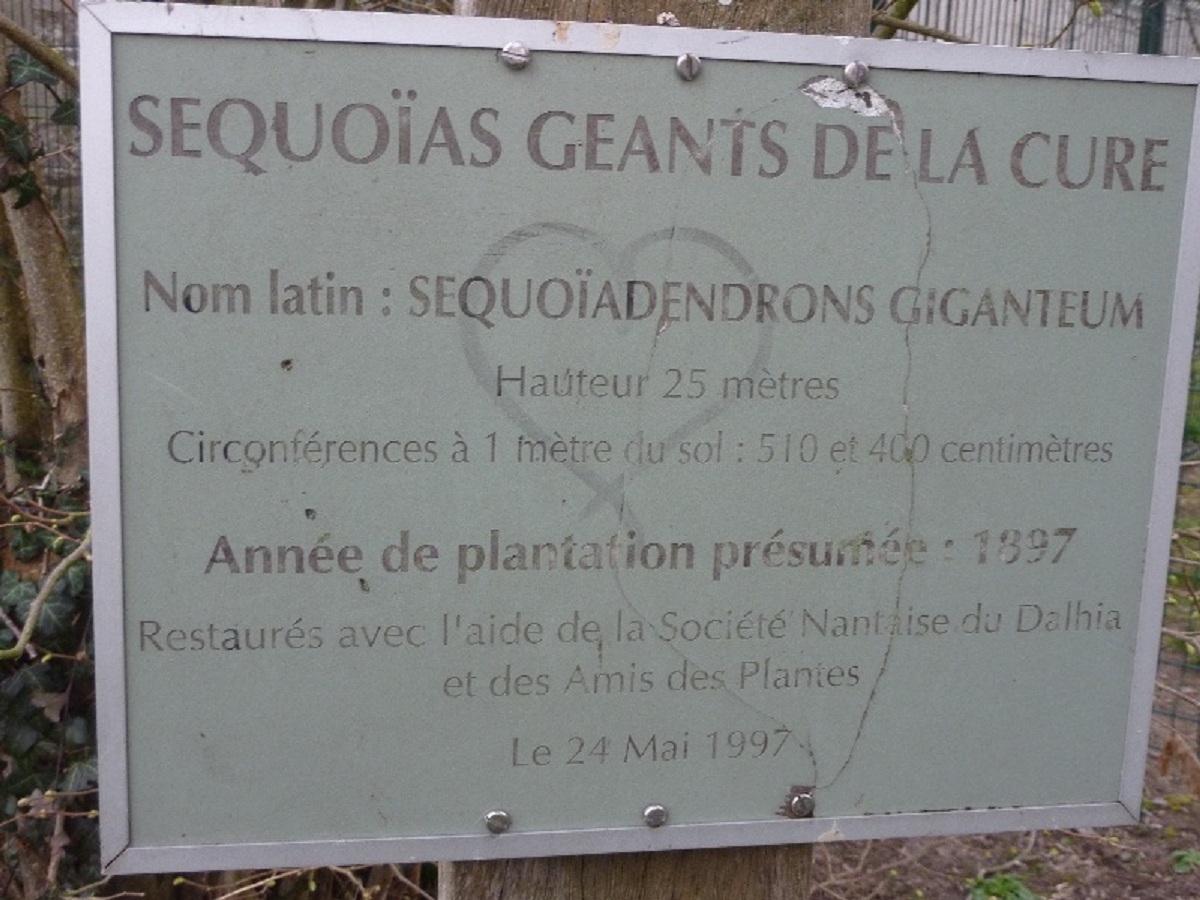 panneau