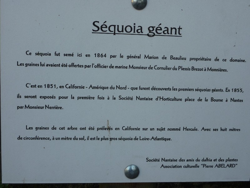 Panneau
