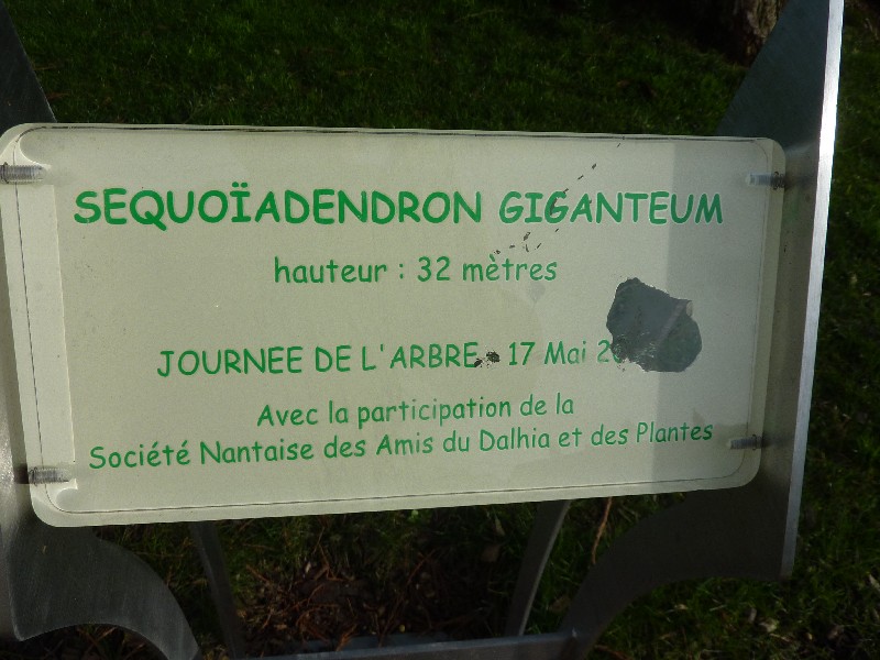 Panneau